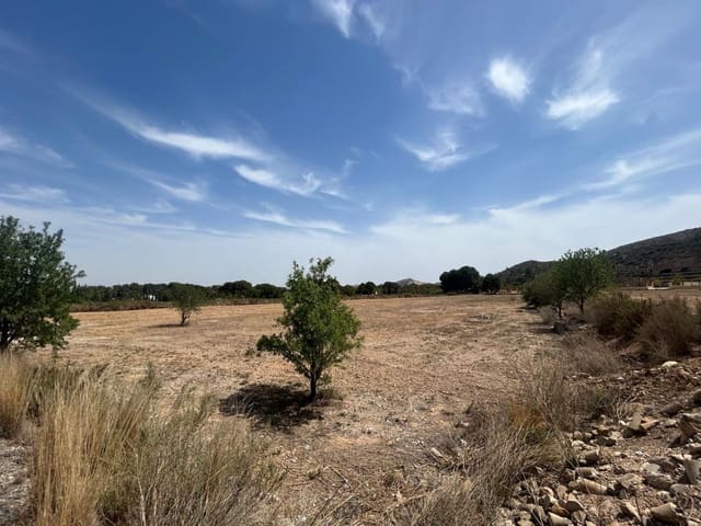 Finca/Country House for sale in Aspe - € 90,000 (Ref: 10035889)