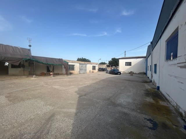 Yritys myytävänä paikassa Crevillente / Crevillent - 126 000 € (Ref: 10035906)