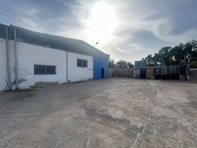 Yritys myytävänä paikassa Crevillente / Crevillent - 126 000 € (Ref: 10035906)