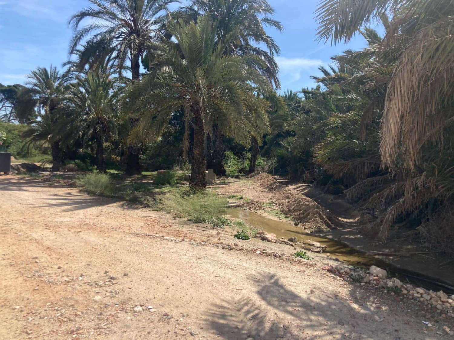 Finca/Landgut zu verkaufen in Los Montesinos - 750.000 € (Ref: 10035915)