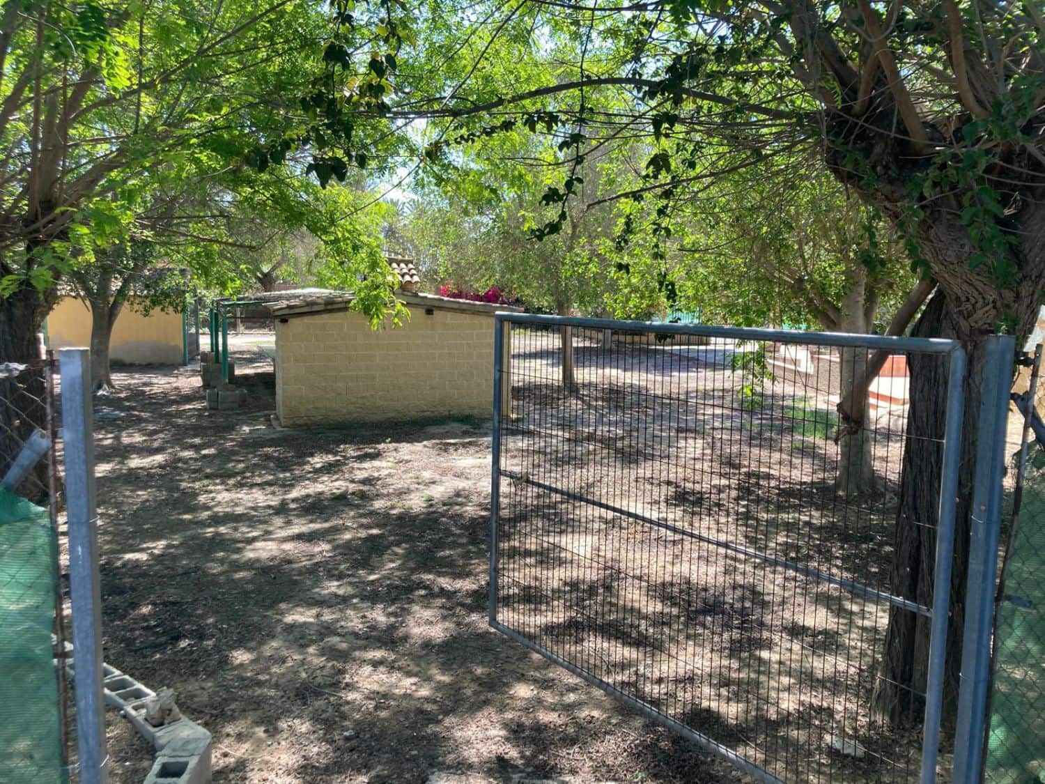 Finca/Landgut zu verkaufen in Los Montesinos - 750.000 € (Ref: 10035915)