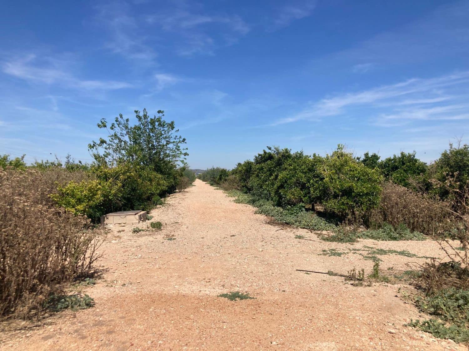 Finca/Landgut zu verkaufen in Los Montesinos - 750.000 € (Ref: 10035915)