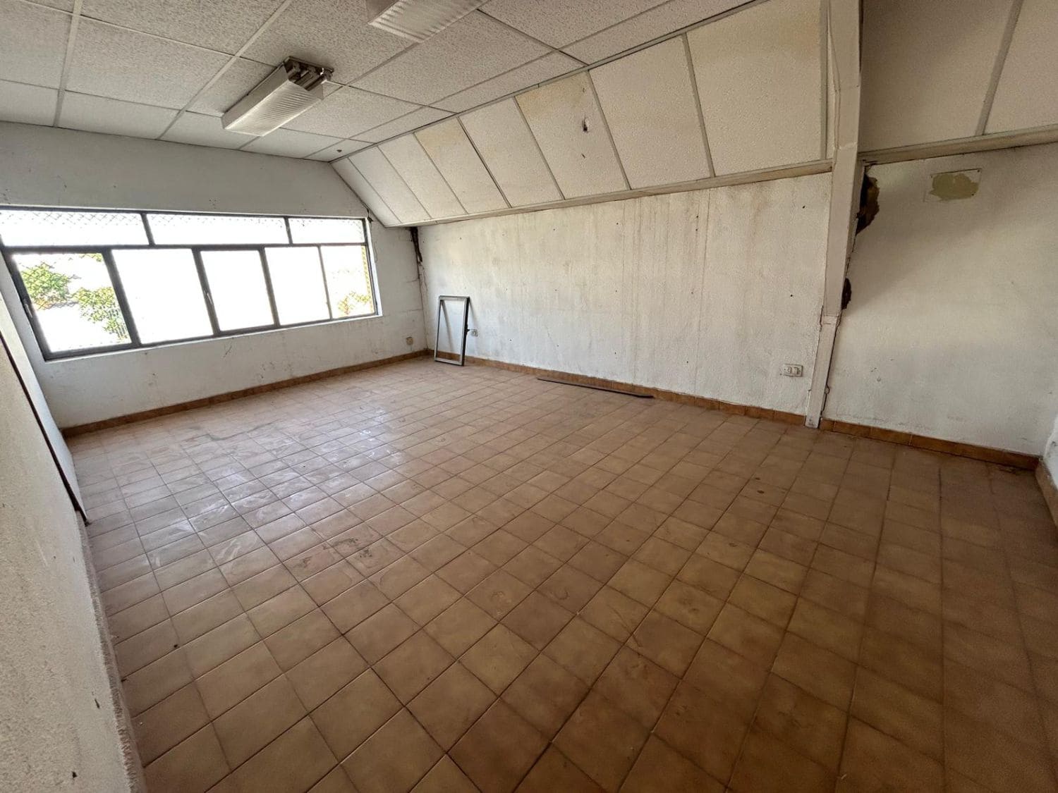 4 bedroom Business for rent in Crevillente / Crevillent - € 1,200 (Ref: 10042673)
