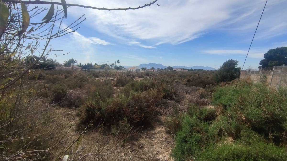 Terreno Não Urbanizado para venda em Crevillente / Crevillent - 95 000 € (Ref: 10075457)