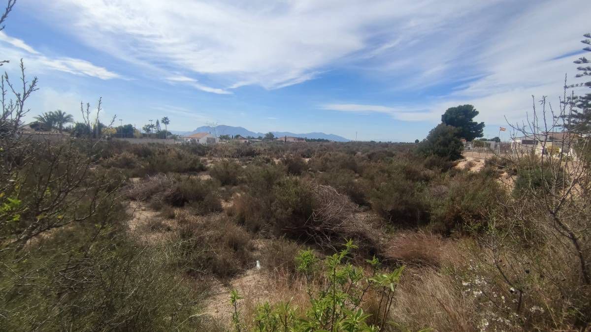 Terreno Não Urbanizado para venda em Crevillente / Crevillent - 95 000 € (Ref: 10075457)