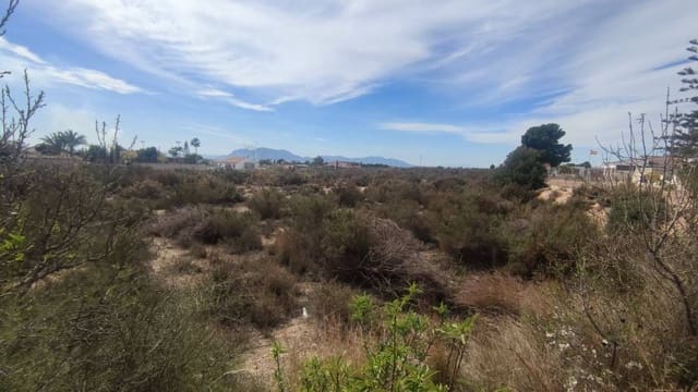 Terre non Aménagée à vendre à Crevillente / Crevillent - 95 000 € (Ref: 10075457)