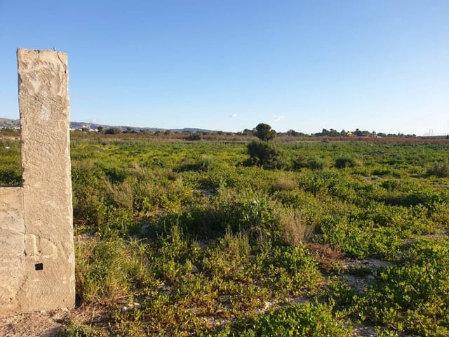 Terre non Aménagée à vendre à Crevillente / Crevillent - 79 500 € (Ref: 10075461)