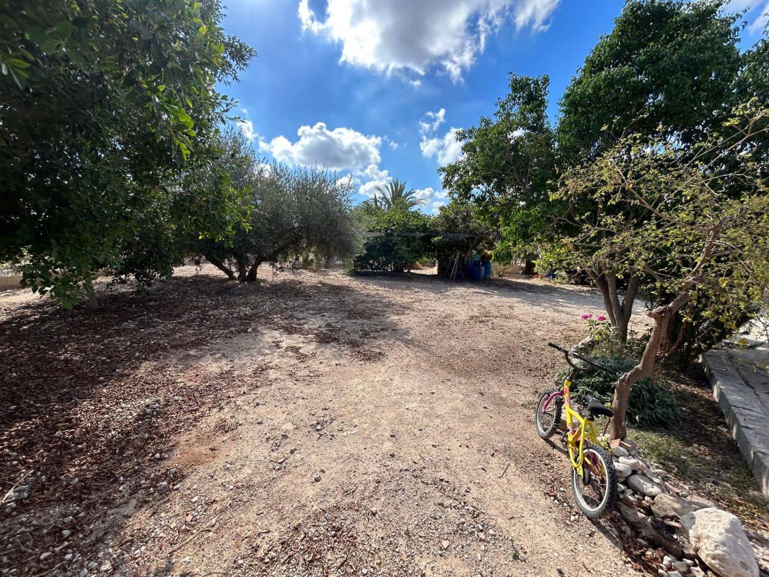 3 quarto Quinta/Casa Rural para venda em Crevillente / Crevillent - 262 500 € (Ref: 10101946)