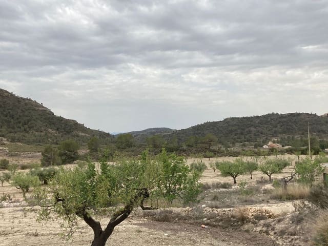 Haus zu verkaufen in Abanilla mit Garage - 75.000 € (Ref: 8417497)