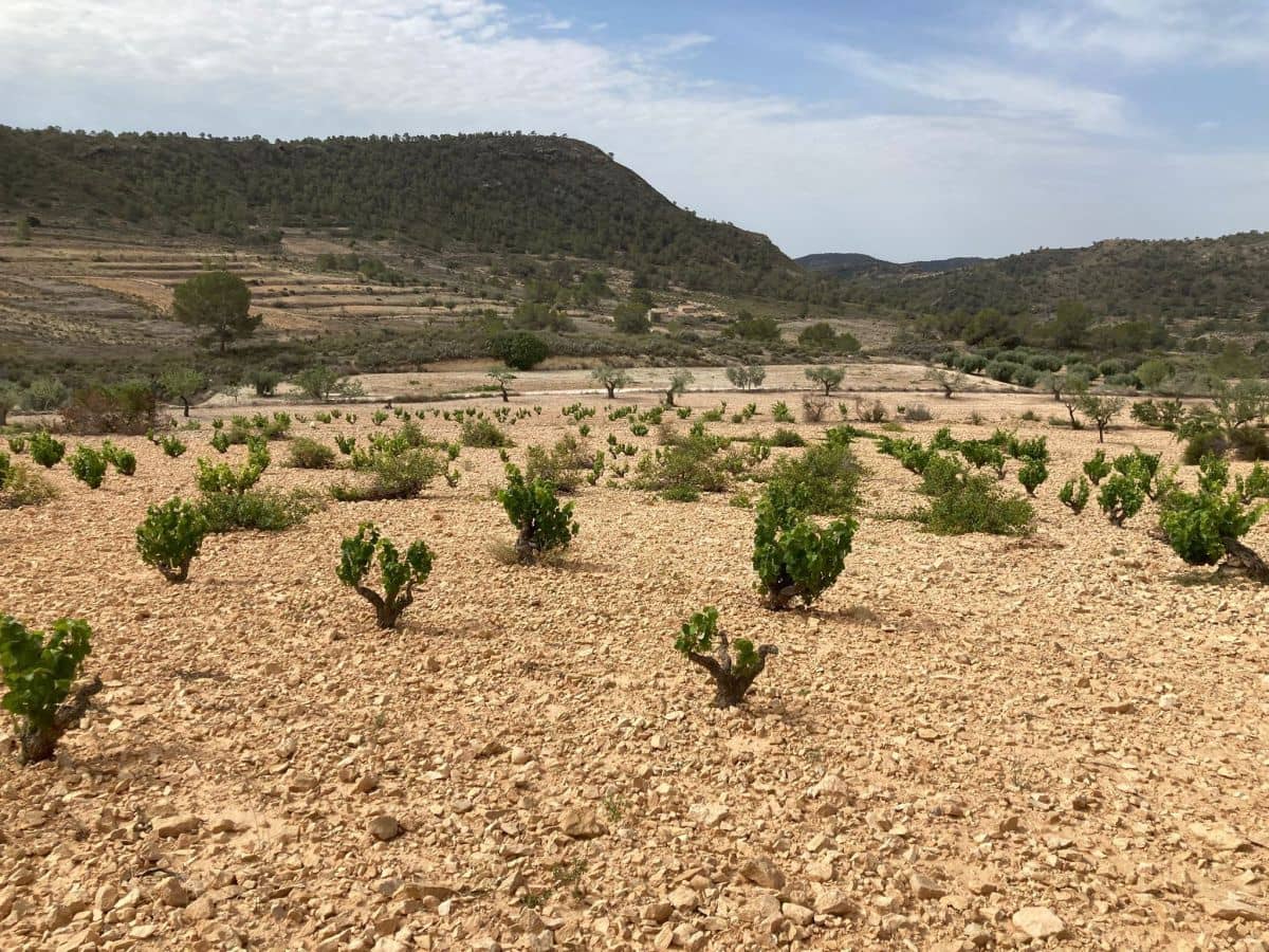 Haus zu verkaufen in Abanilla mit Garage - 75.000 € (Ref: 8417497)