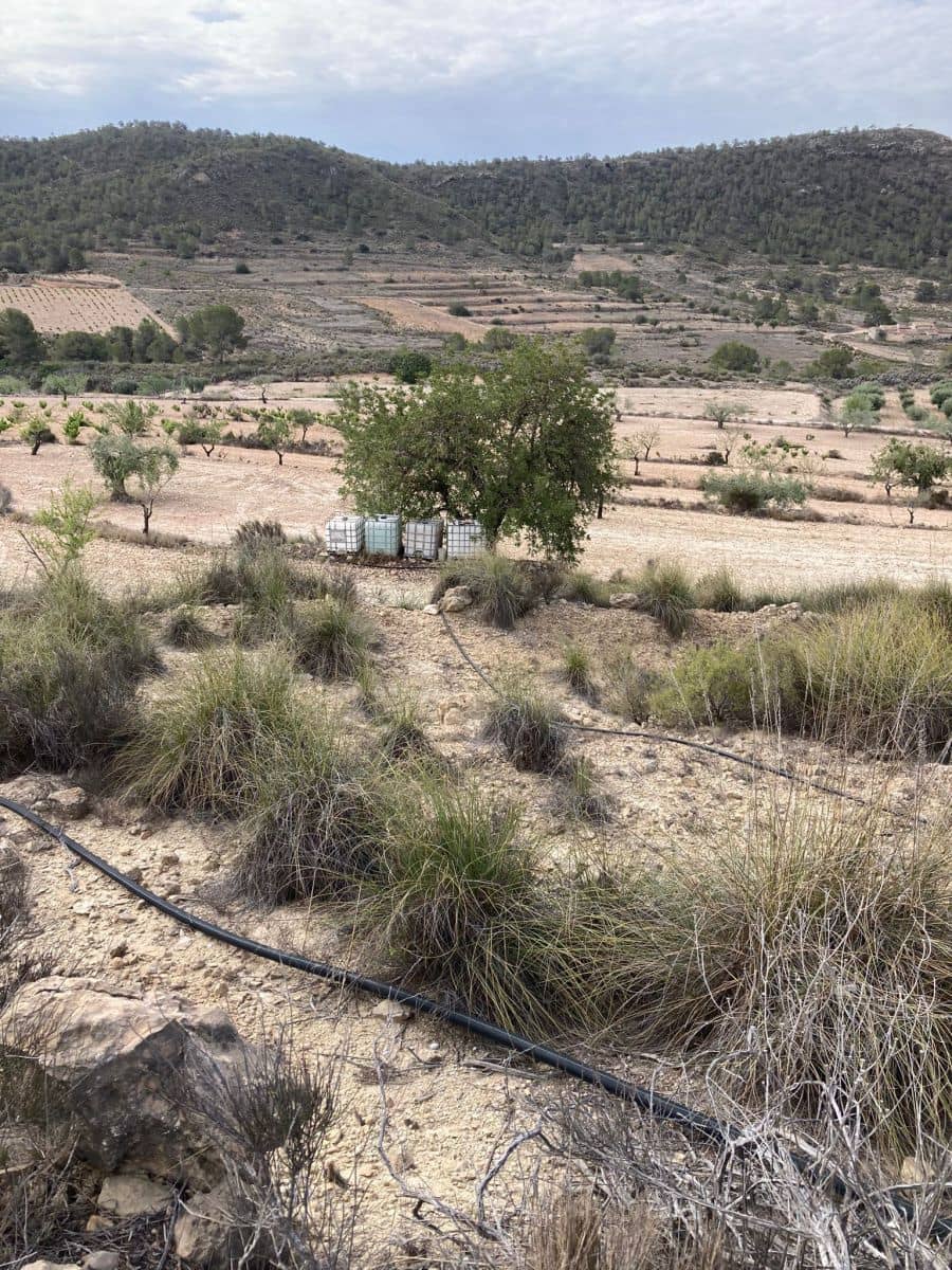 Haus zu verkaufen in Abanilla mit Garage - 75.000 € (Ref: 8417497)