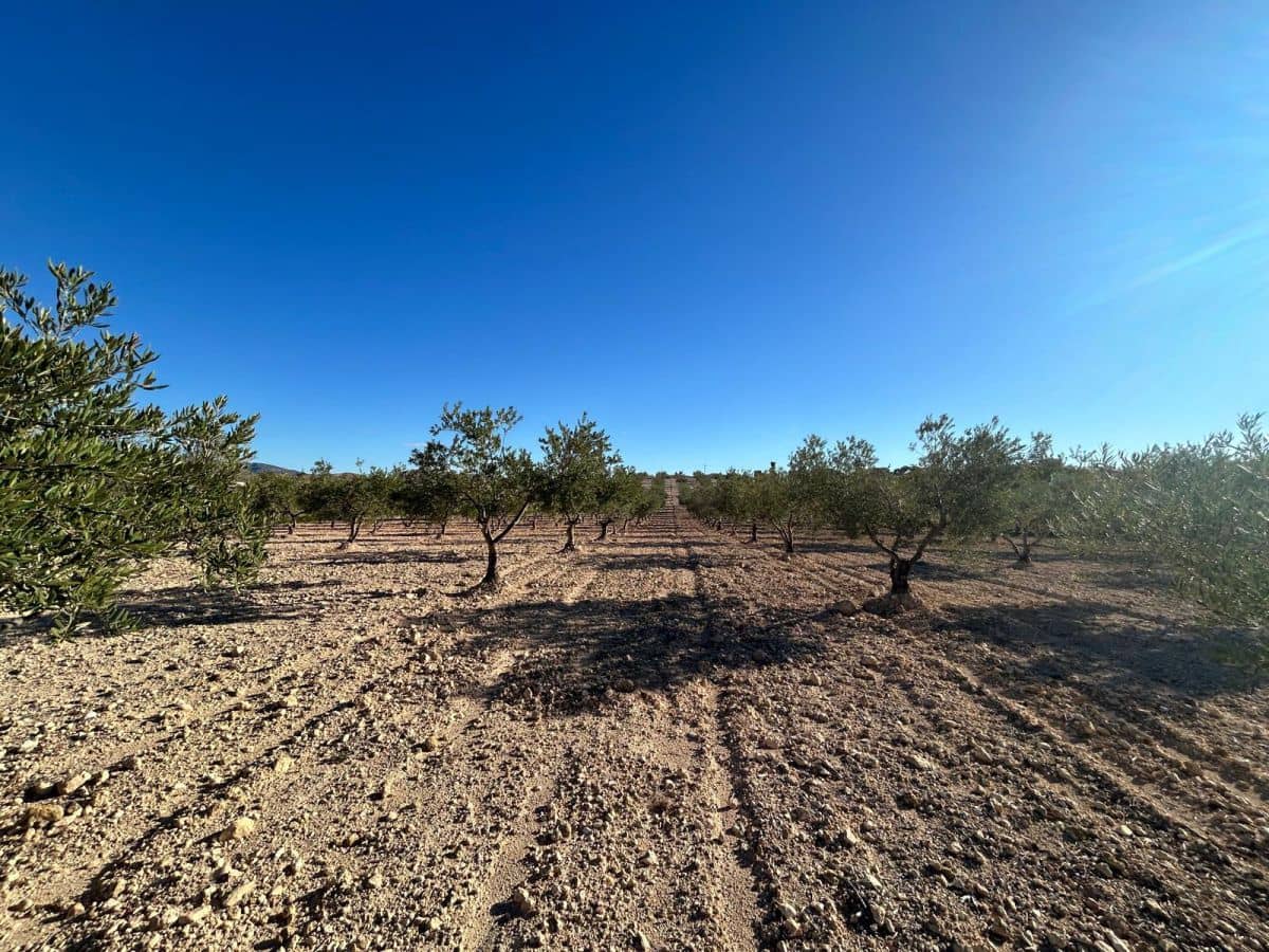 Finca/Landhuis te koop in Jumilla met garage - € 72.000 (Ref: 8570361)