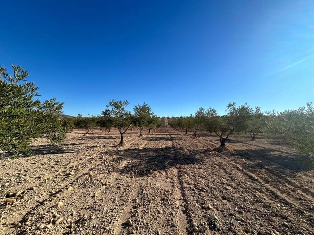 Finca/Landhuis te koop in Jumilla met garage - € 72.000 (Ref: 8570361)