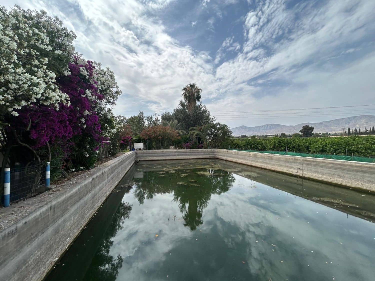 3 bedroom Villa for sale in Crevillente / Crevillent with garage - € 315,000 (Ref: 9588006)