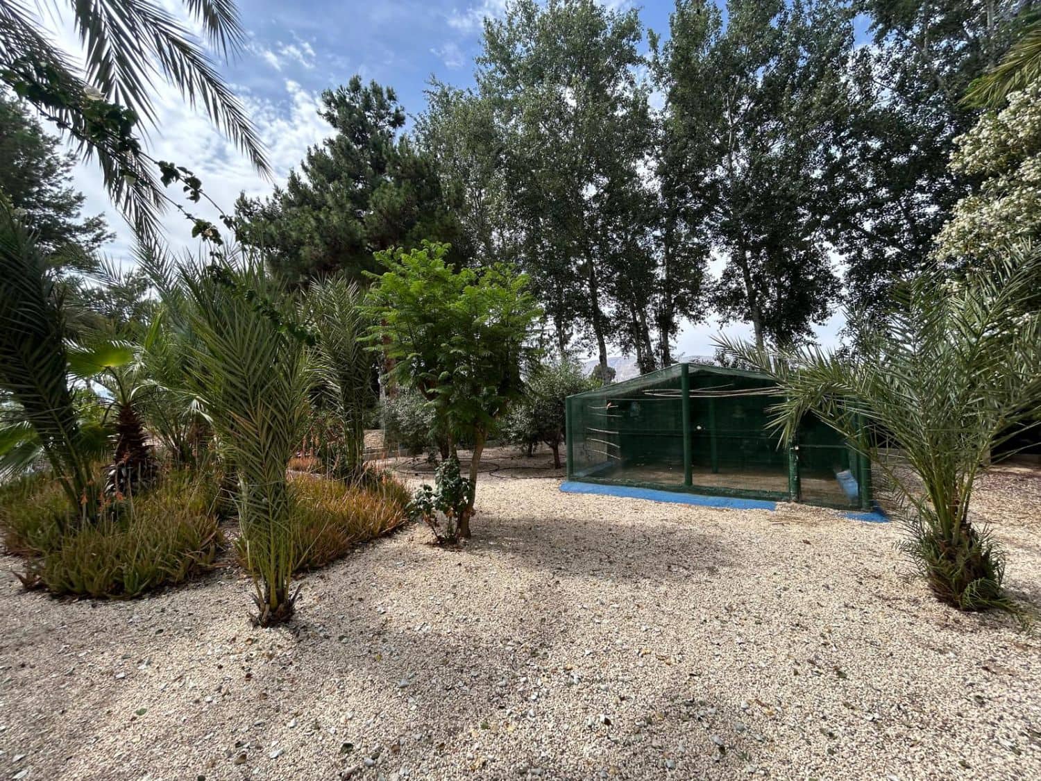 3 bedroom Villa for sale in Crevillente / Crevillent with garage - € 315,000 (Ref: 9588006)