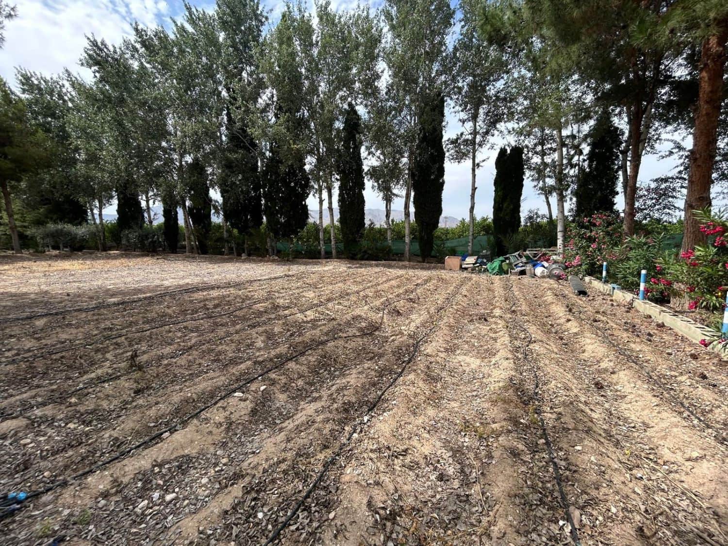 3 bedroom Villa for sale in Crevillente / Crevillent with garage - € 315,000 (Ref: 9588006)