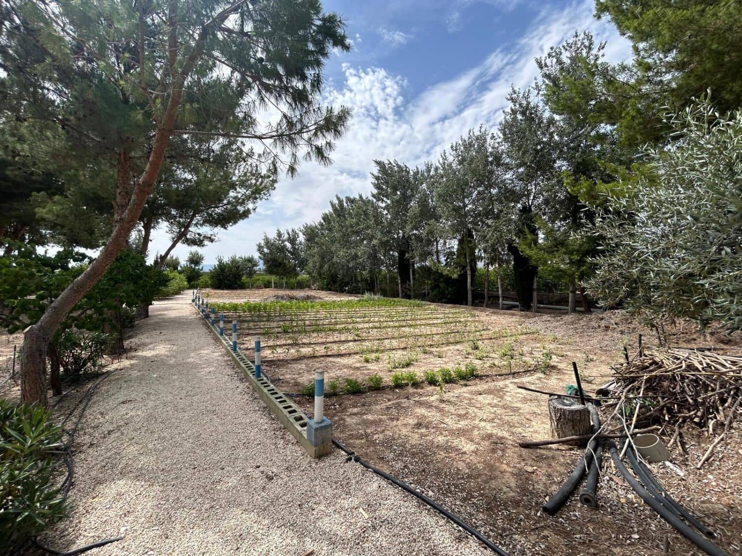 3 bedroom Villa for sale in Crevillente / Crevillent with garage - € 315,000 (Ref: 9588006)