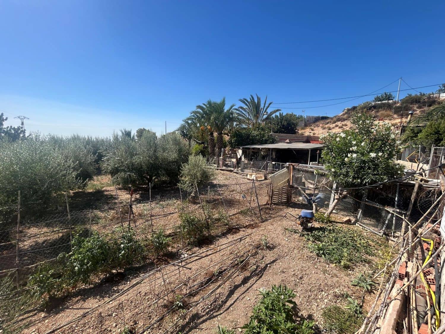 4 bedroom Finca/Country House for sale in Crevillente / Crevillent - € 160,000 (Ref: 9588010)
