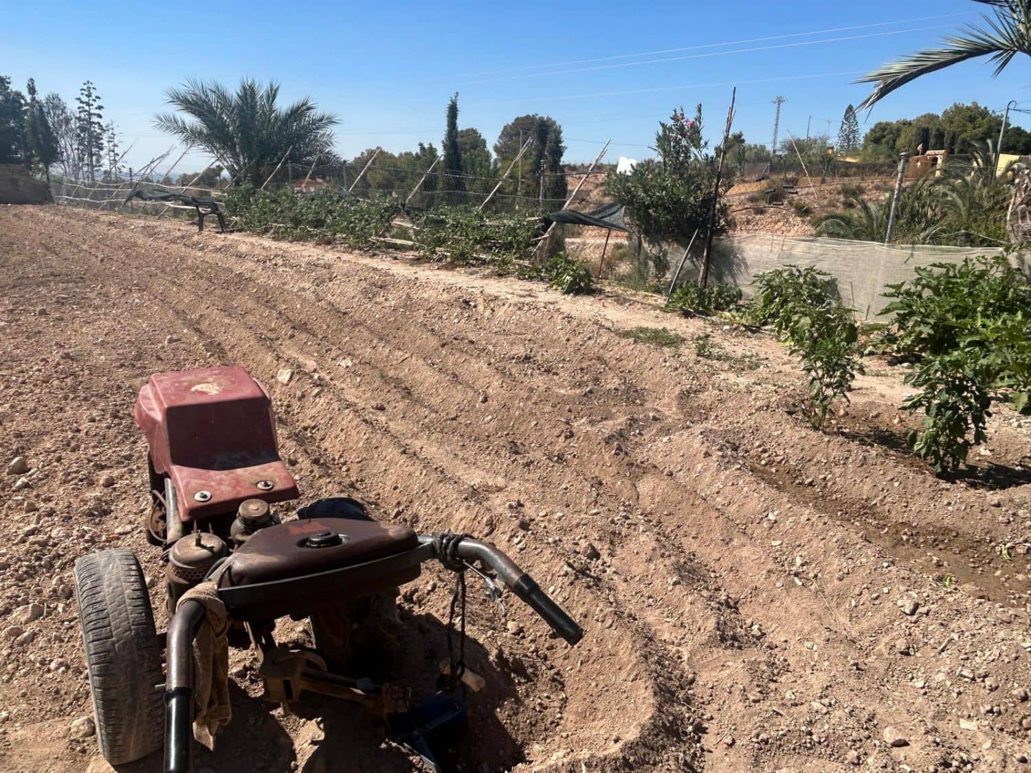 4 bedroom Finca/Country House for sale in Crevillente / Crevillent - € 160,000 (Ref: 9588010)