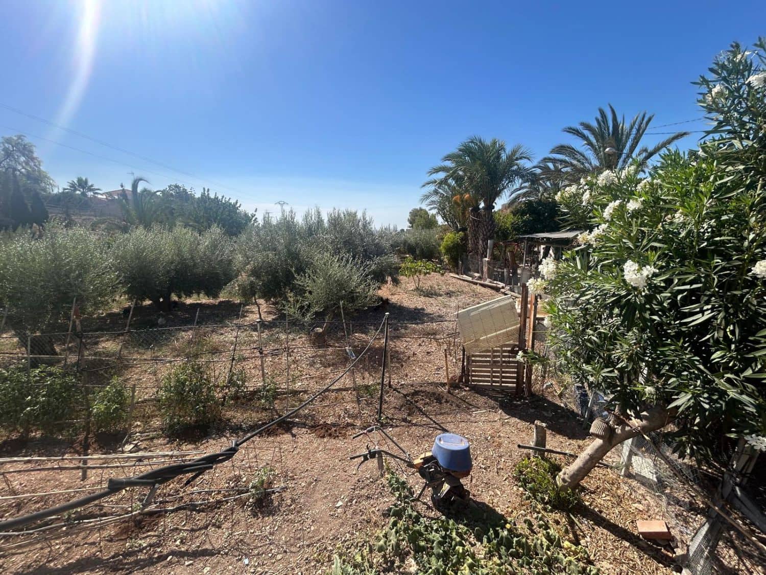 4 bedroom Finca/Country House for sale in Crevillente / Crevillent - € 160,000 (Ref: 9588010)