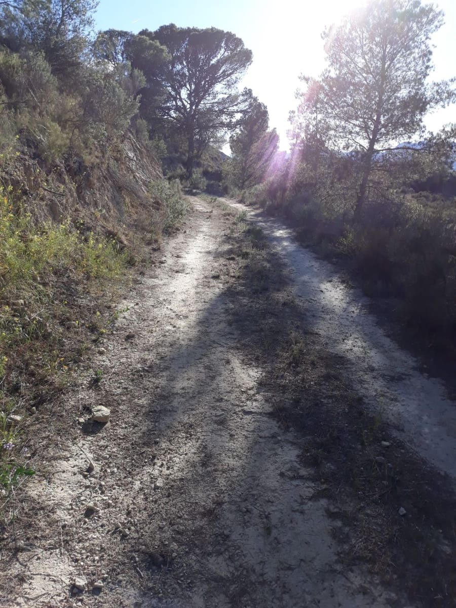 1 bedroom Finca/Country House for sale in Abanilla - € 34,000 (Ref: 9588015)