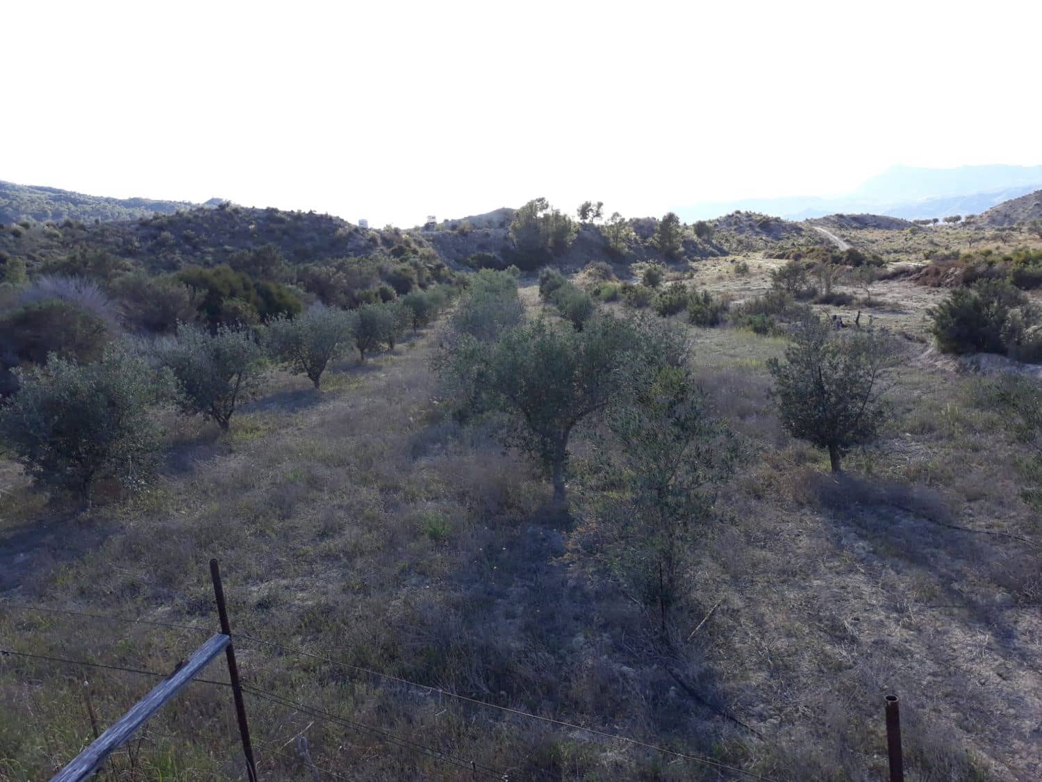 1 bedroom Finca/Country House for sale in Abanilla - € 34,000 (Ref: 9588015)