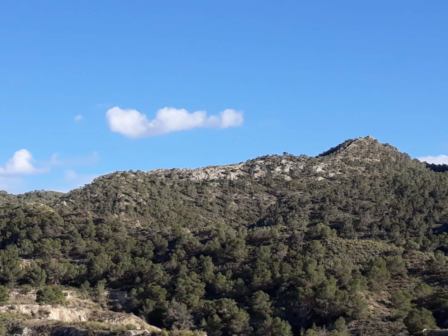 1 bedroom Finca/Country House for sale in Abanilla - € 34,000 (Ref: 9588015)
