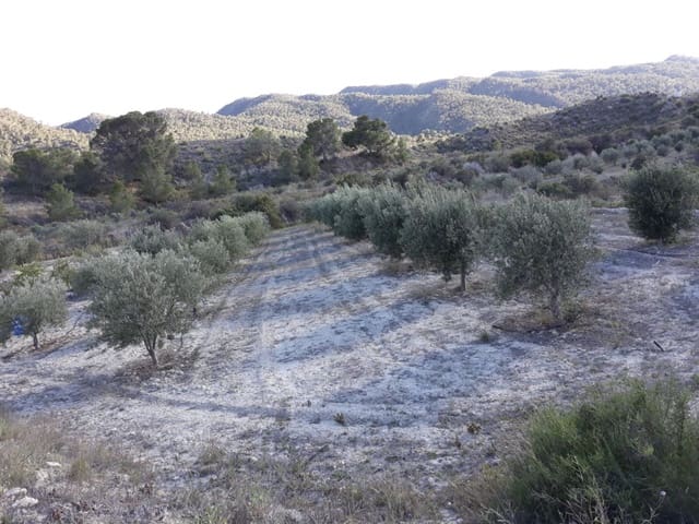 1 slaapkamer Finca/Landhuis te koop in Abanilla - € 34.000 (Ref: 9588015)