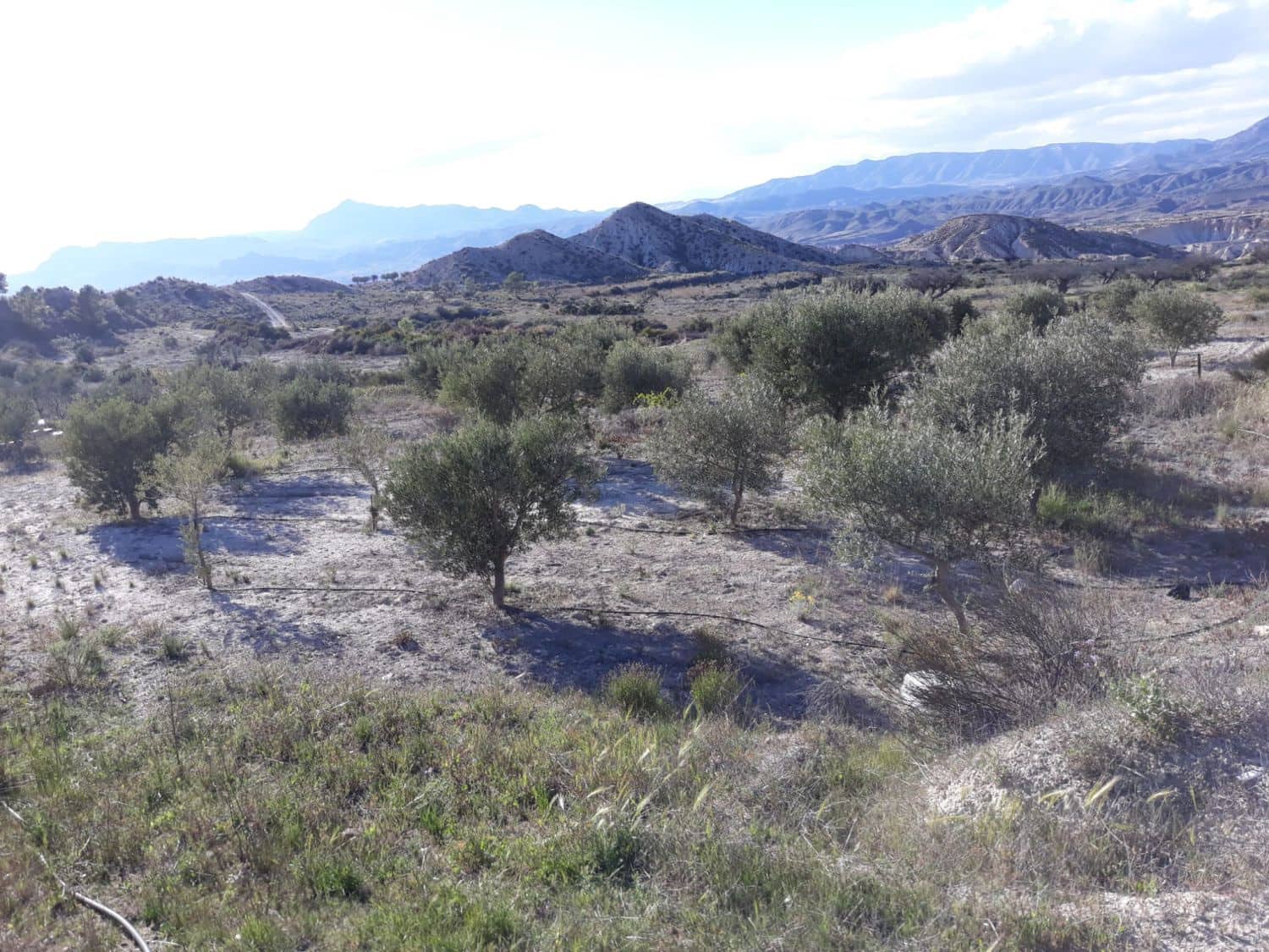 1 bedroom Finca/Country House for sale in Abanilla - € 34,000 (Ref: 9588015)