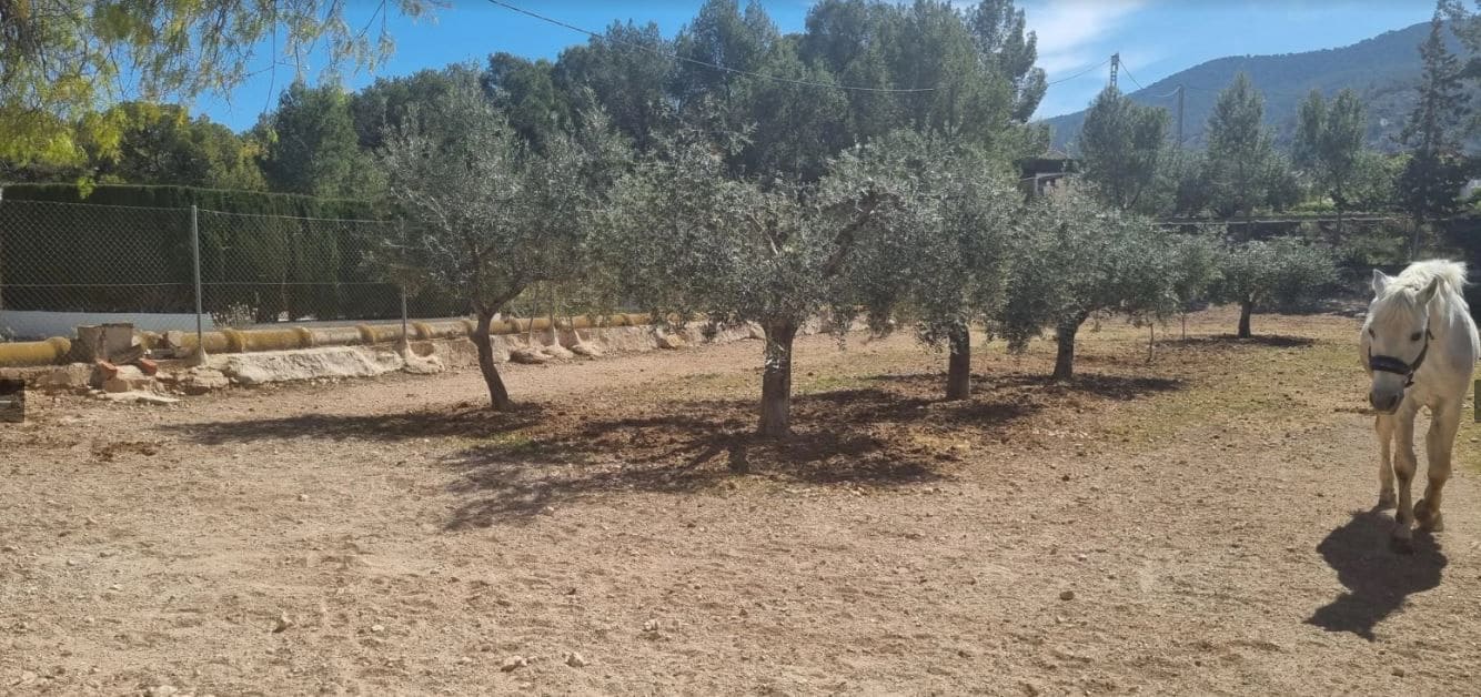 6 soveværelse Finca/Landehus til salg i Hondon de las Nieves - € 254.000 (Ref: 9588016)