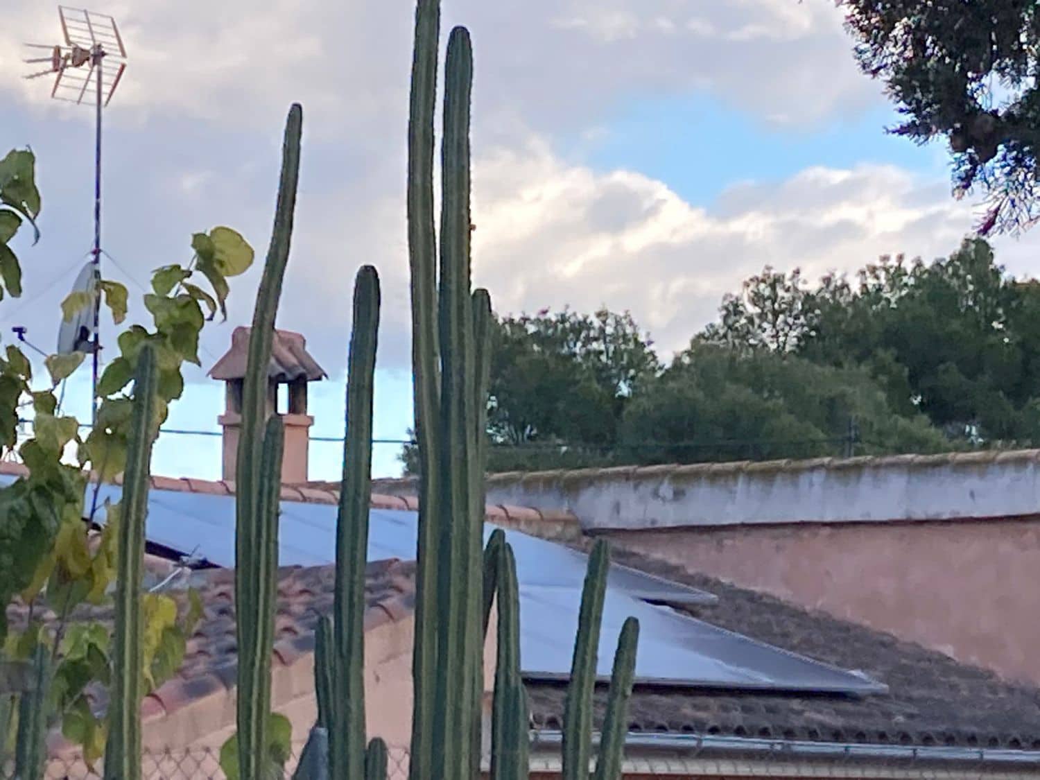 6 soveværelse Finca/Landehus til salg i Hondon de las Nieves - € 254.000 (Ref: 9588016)