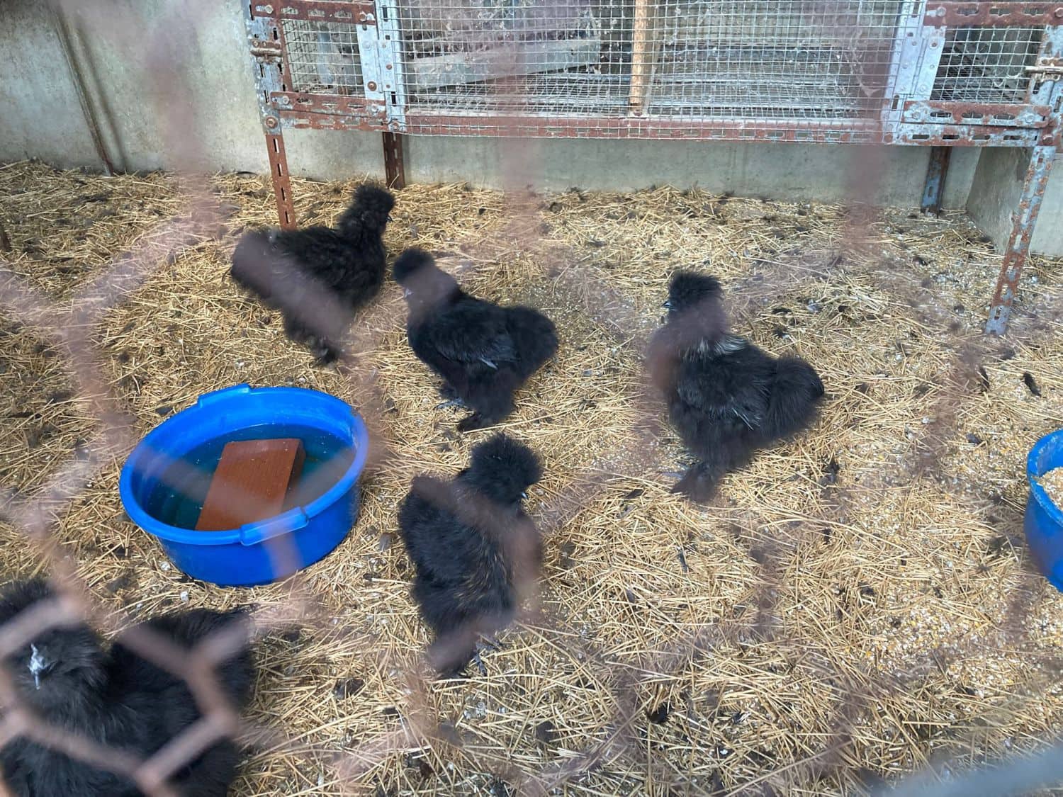 6 soveværelse Finca/Landehus til salg i Hondon de las Nieves - € 254.000 (Ref: 9588016)