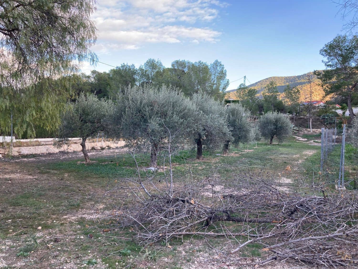 6 soveværelse Finca/Landehus til salg i Hondon de las Nieves - € 254.000 (Ref: 9588016)