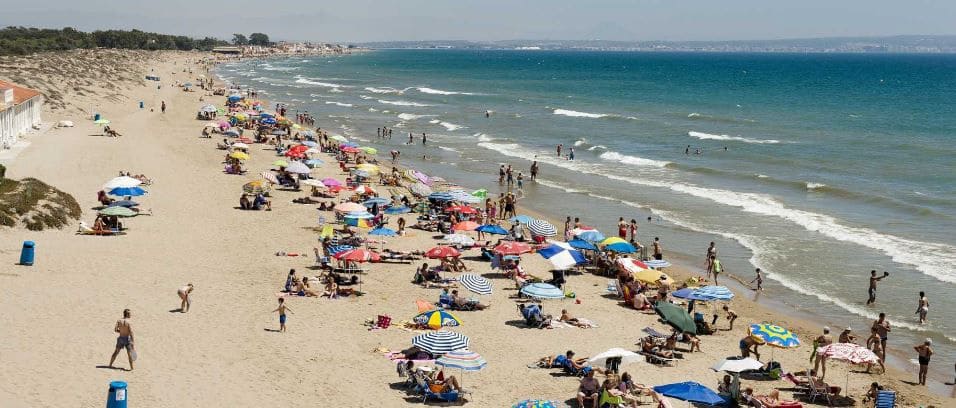 Gewerbe zu vermieten in Elche / Elx - 600 € (Ref: 9588018)