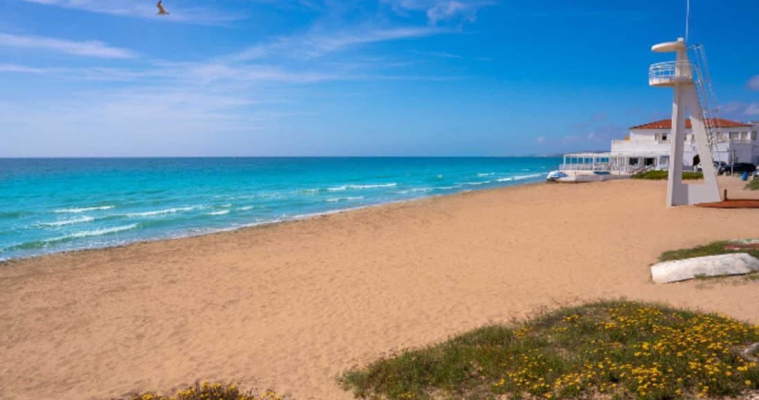 Gewerbe zu vermieten in Elche / Elx - 600 € (Ref: 9588018)