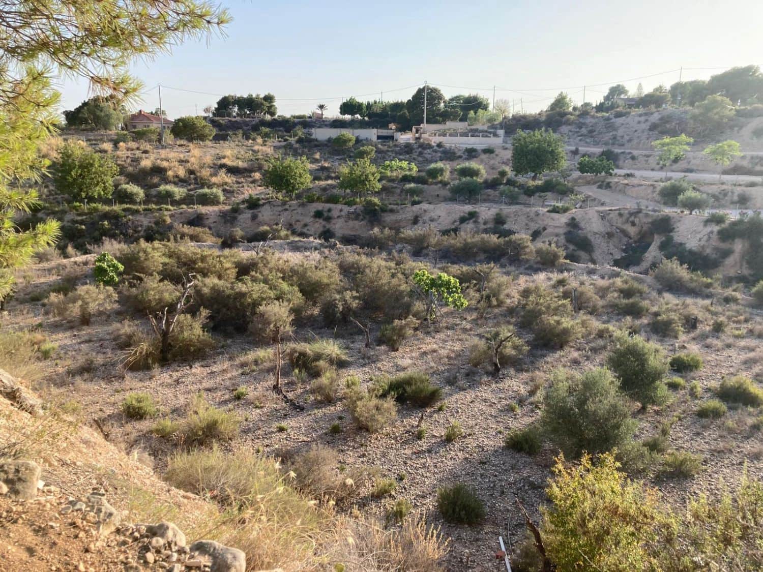 6 bedroom Finca/Country House for sale in Crevillente / Crevillent - € 129,000 (Ref: 9588019)