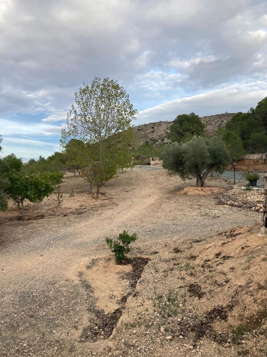 3 quarto Quinta/Casa Rural para venda em Hondon de las Nieves - 298 000 € (Ref: 9588029)