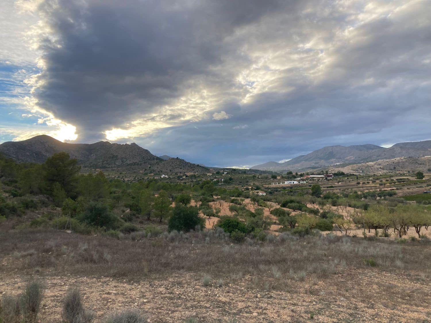 3 quarto Quinta/Casa Rural para venda em Hondon de las Nieves - 298 000 € (Ref: 9588029)