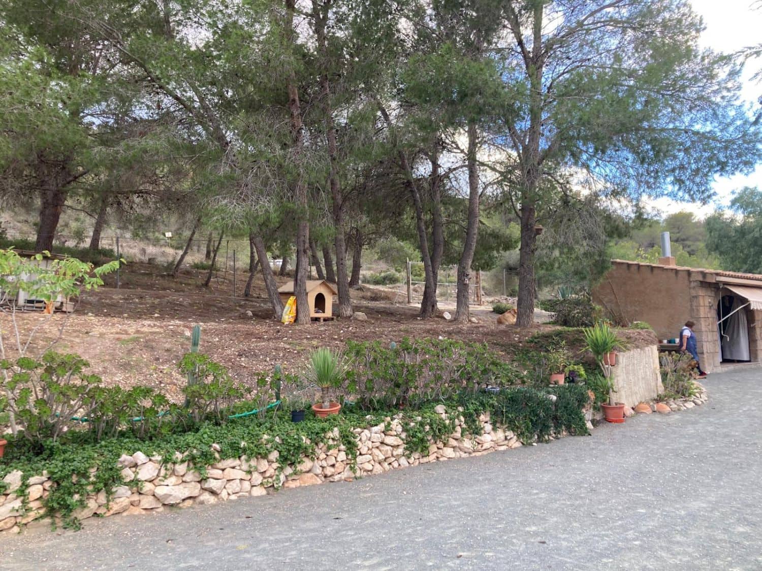 3 quarto Quinta/Casa Rural para venda em Hondon de las Nieves - 298 000 € (Ref: 9588029)