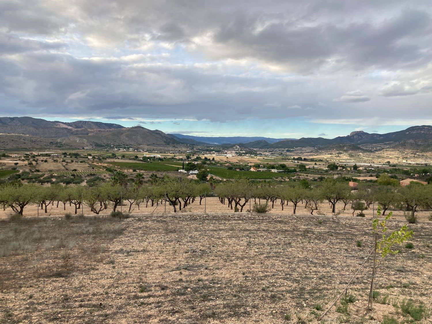 3 quarto Quinta/Casa Rural para venda em Hondon de las Nieves - 298 000 € (Ref: 9588029)