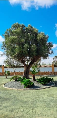 3 soveværelse Villa til salg i Catral - € 385.000 (Ref: 9590947)