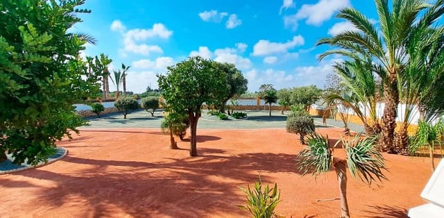 3 soveværelse Villa til salg i Catral - € 385.000 (Ref: 9590947)