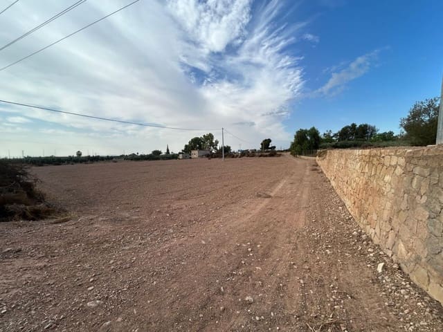 1 Zimmer Finca/Landgut zu verkaufen in Crevillente / Crevillent - 65.000 € (Ref: 9590950)