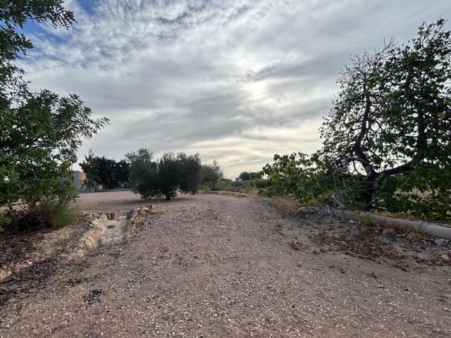 1 Zimmer Finca/Landgut zu verkaufen in Crevillente / Crevillent - 65.000 € (Ref: 9590950)