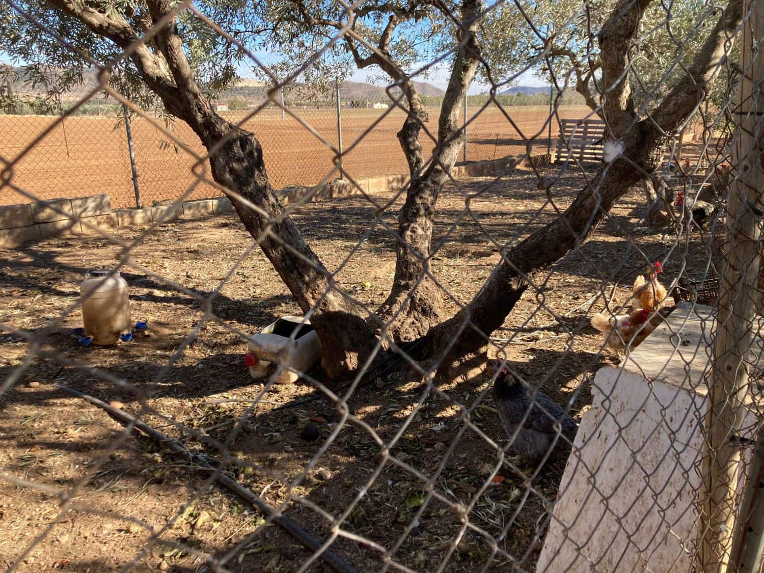 6 chambre Finca/Maison de Campagne à vendre à Hondon de las Nieves - 230 000 € (Ref: 9590962)