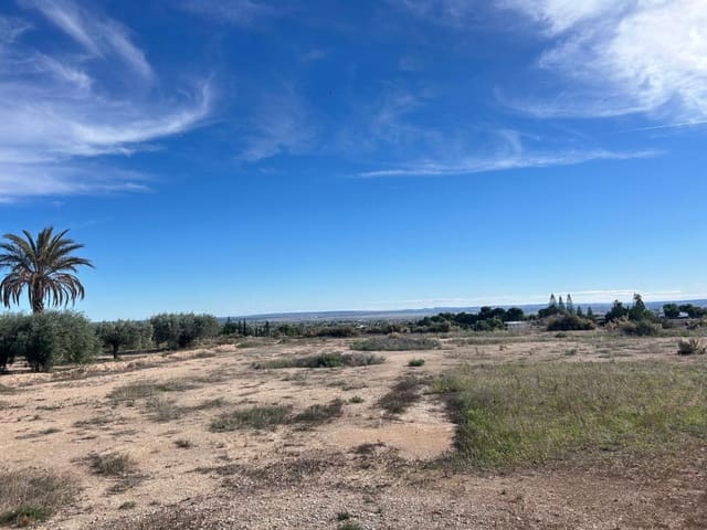 Grunde uden byggetilladelser til salg i Crevillente / Crevillent - € 120.000 (Ref: 9590963)