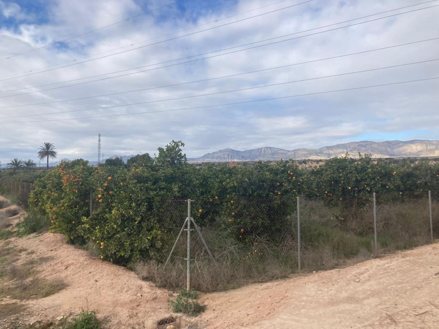 Terreno Non Edificato in vendita in El Realengo - 59.000 € (Rif: 9590966)