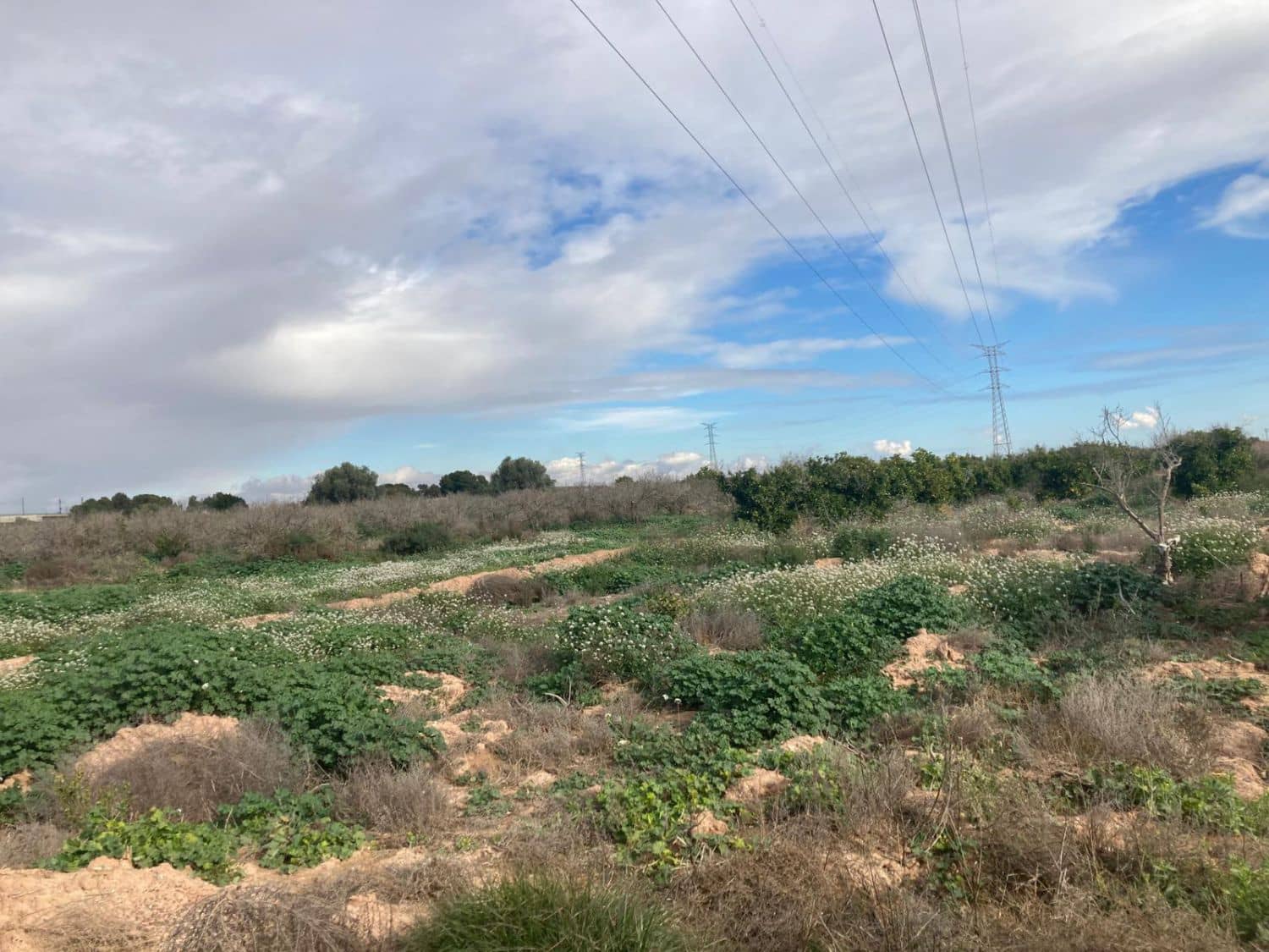 Terreno Non Edificato in vendita in El Realengo - 59.000 € (Rif: 9590966)