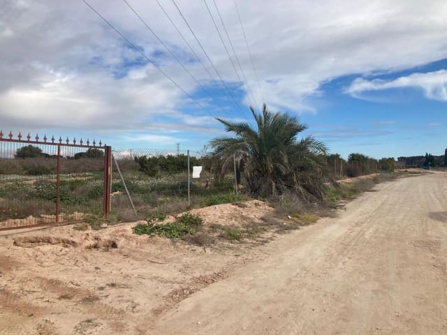 Terreno Non Edificato in vendita in El Realengo, Crevillente / Crevillent - 59.000 € (Rif: 9590966)