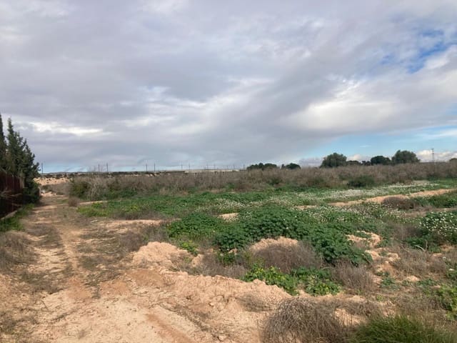 Terreno Non Edificato in vendita in El Realengo, Crevillente / Crevillent - 59.000 € (Rif: 9590966)